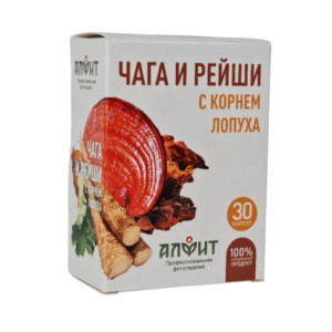 Čaga reishi in navadni repinec
